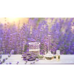 Young Living levendula illóolaj: hűsítő, nyári felfrissülés!